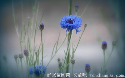 关于恼怒的座右铭