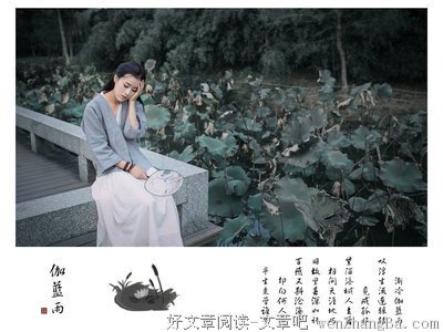 最新的《细雨喃喃 伽蓝雨》语录摘抄