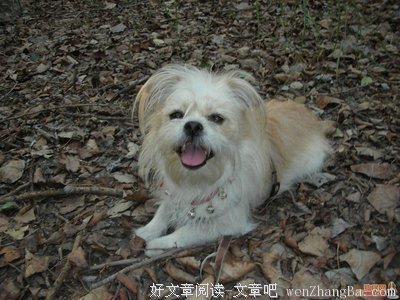 “此刻”千元征文：此刻，我一人在外流浪
