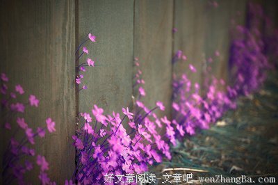 最经典的张小娴的名言名句