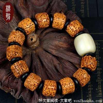 关于佛念的语句