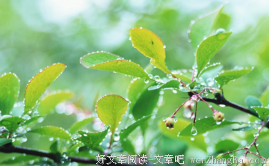 有关柳延的美句摘抄