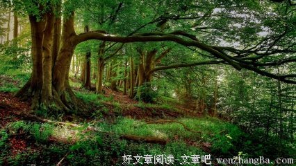 你是猪吗，我说分手你就分手