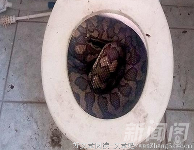 关于遥无期名言名句