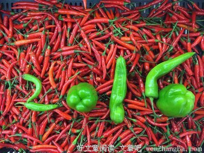 最全的《以自己喜欢的方式过一生》好段摘抄