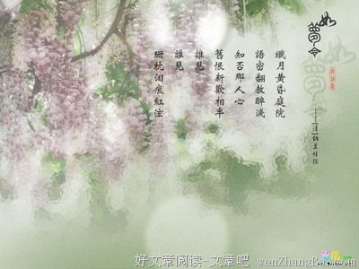 关于纳兰容若词的格言