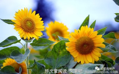关于患难之交的名言