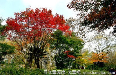最新的《声息》经典句子