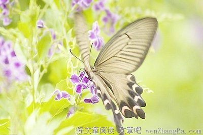 感人至深格言警句