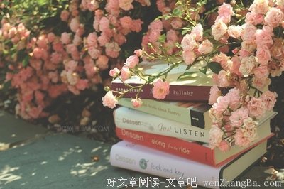 关于荣耀的名言