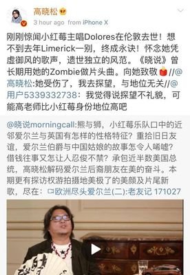 小红莓主唱突然去世，她曾和高晓松说，喜欢中国，想来中国开演唱