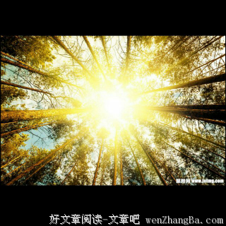 林清玄：阳光的味道