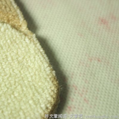 杨梅欢喜缘