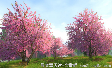 《蒙文课》读后感精选10篇