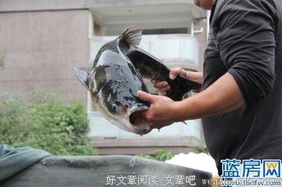 千万别被中国式人情消耗你