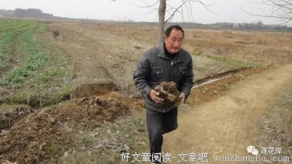 最经典的舒婷名句欣赏