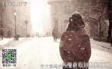优秀的人不需要太合群
