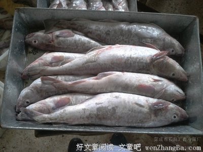 大口大口格言警句