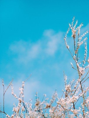 90后：我们不是佛系，是穷系 | 书单观察