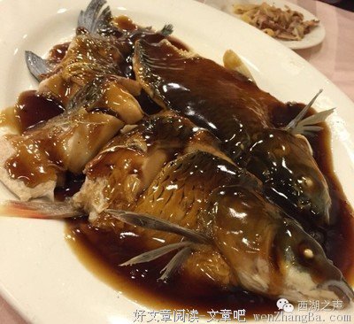 《快食慢爱》读后感10篇