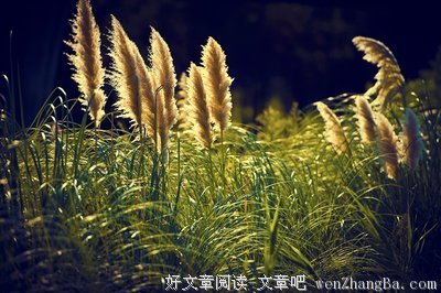 最经典的跳舞15句经典名言
