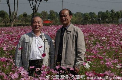 15条关于耄耋之年的经典语句