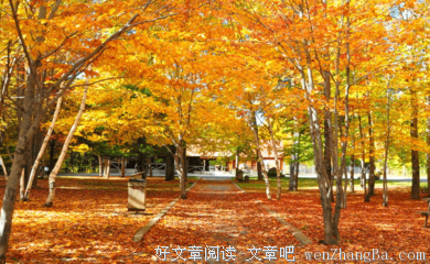 颓经典名句