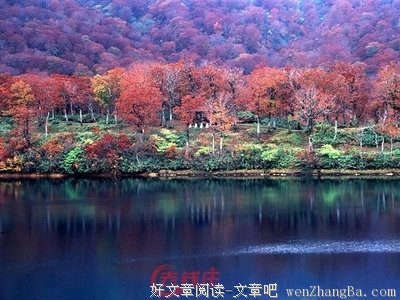 最经典的《美图吧》好段摘抄
