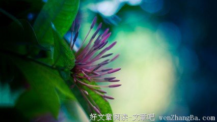 最经典的《加速世界》经典句子