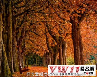 15条关于玩世不恭的经典语句