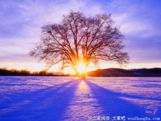 风之痕经典名句
