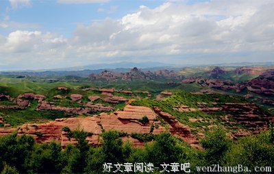 文乡情怀｜【舌尖●乡愁】野菜帖