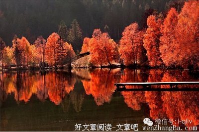 描写千帆的经典句子
