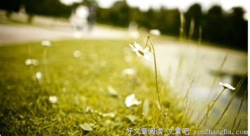 关于任性的唯美语录