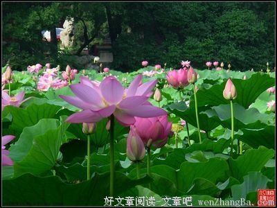最新的《乡土中国》经典句子大全