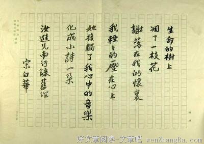 宗白华格言警句