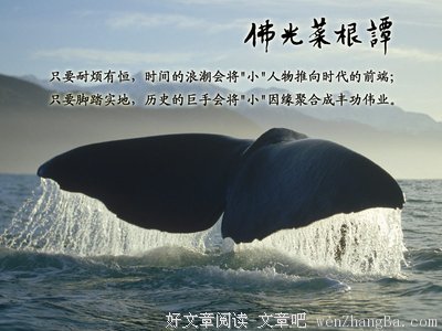 关于净宗名言名句