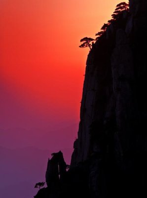 最经典的《沉香如屑》名句欣赏