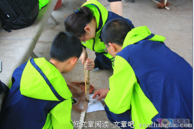 我不断上路看别处，开始懂了为何我们总焦虑