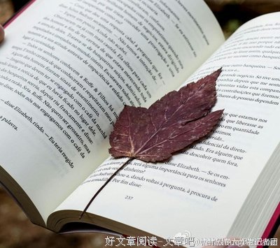 《人生若只如初见》的读后感10篇