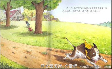 狗与狼读后感精选10篇