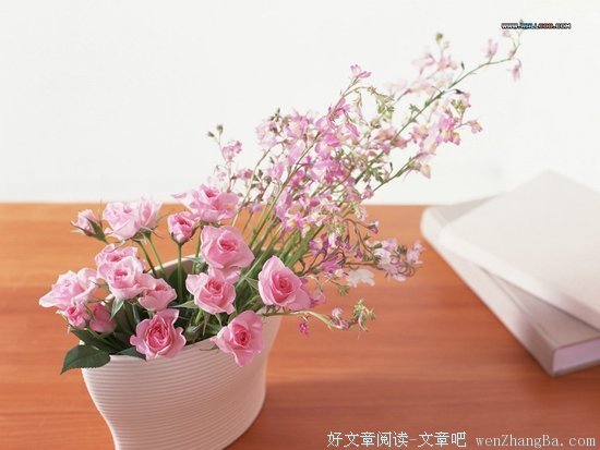 陈绮贞的名句_关于陈绮贞的名句