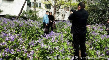 2017辛弃疾精彩语录