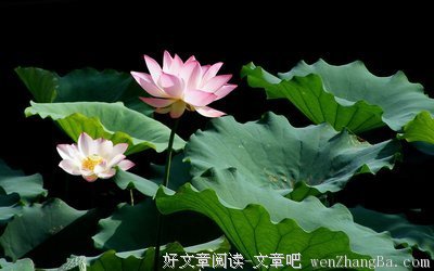 关于二月红名言名句