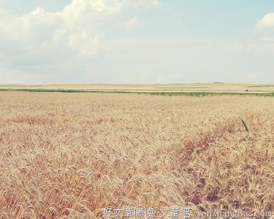 小苹格言警句