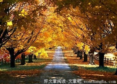 最经典的《有些路，只能一个人走》名句欣赏