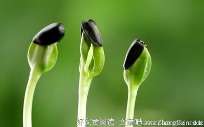 关于绵延不断的座右铭