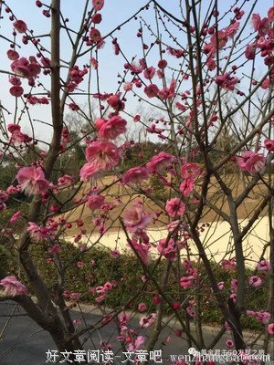 关于振聋发聩的座右铭