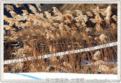 散碎的记忆