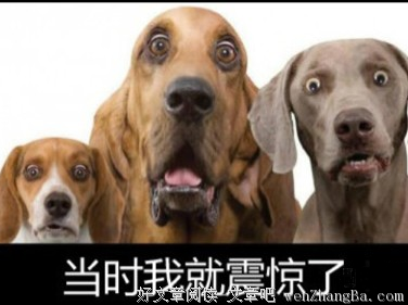从您拿手机的姿势，就能看出您的性格！
